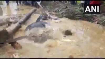 A village in India saved a drowning elephant&rsquo;s life