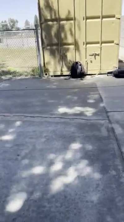 6&rsquo;3 Polynesian 7th grade boy gets payback from getting hit in the stomach