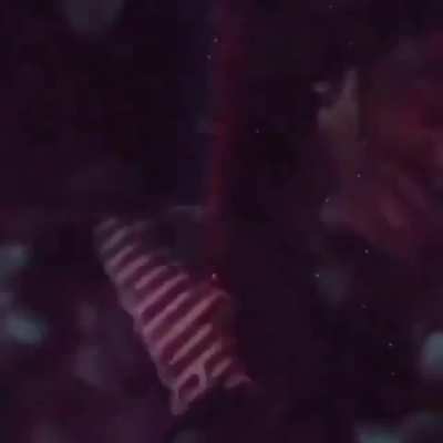 Throwback to that snippet