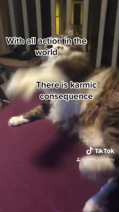 bonk