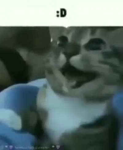 🖕
