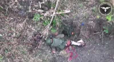 💥 FPV drone makes the orc explode like a watermelon