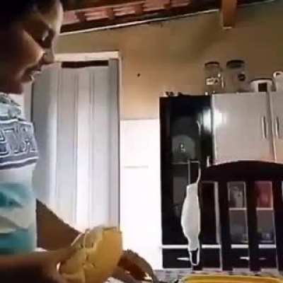 Hard bread