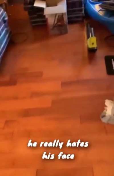 I too would have the same reaction if someone showed me my face