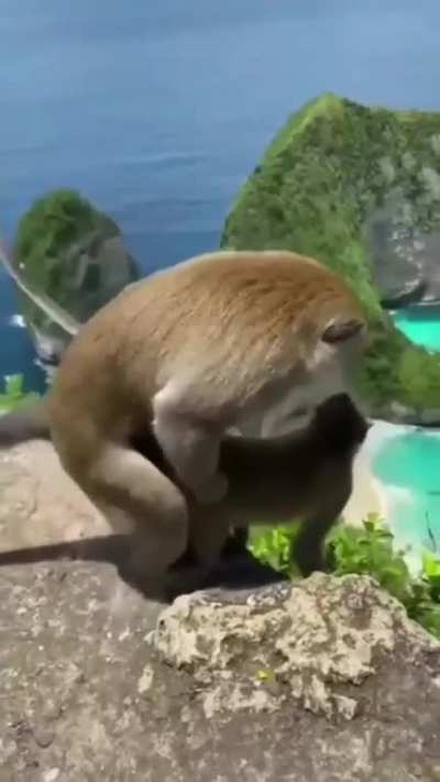 😂