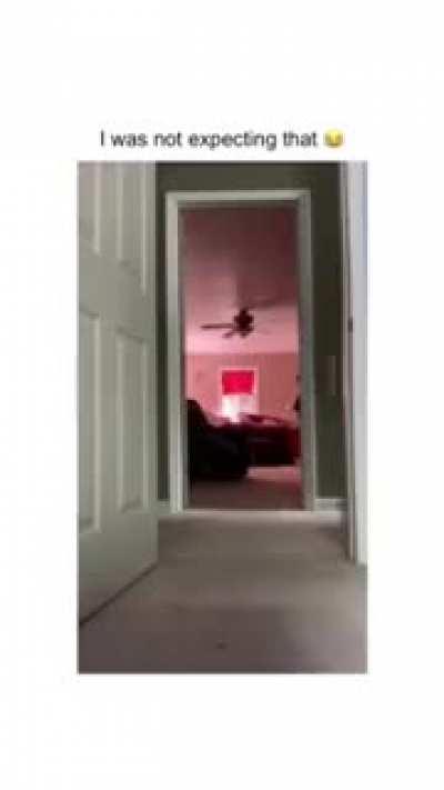 This is the only TikTok that made me laugh so hard