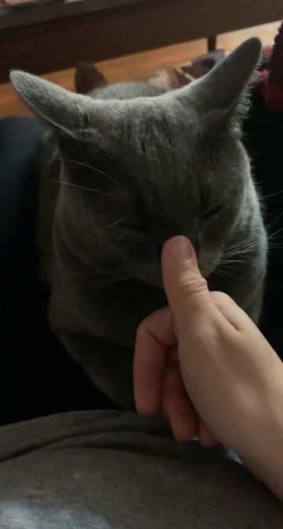 boop