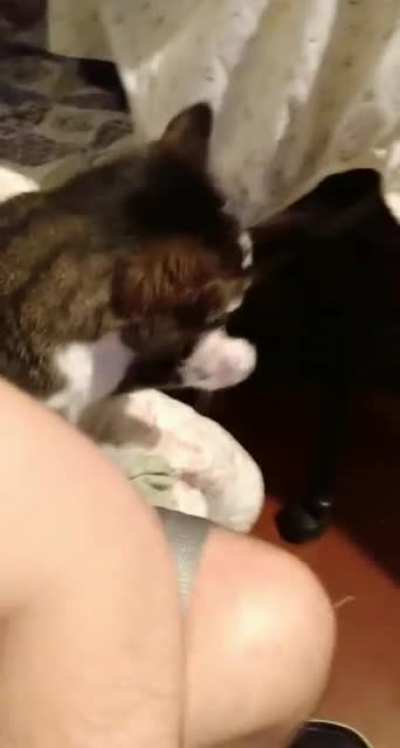Taps for scratches