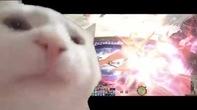 When Wormhole formation kicks in