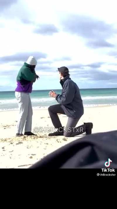 TFW your owner gets engaged