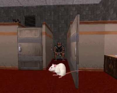 Random GIF i saw