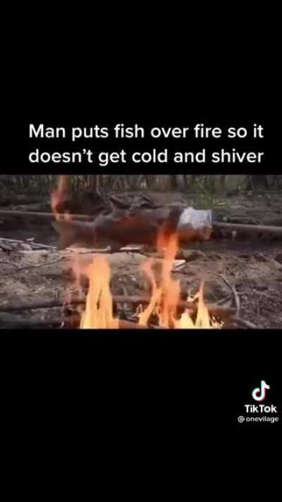 I mean&hellip; at least the fish is warm