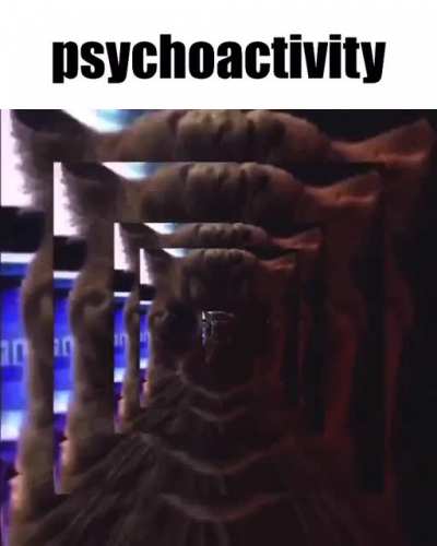 🦭🦭🦭