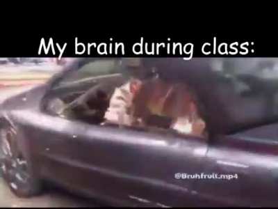This is basically what I think goes on in yubs head sometimes