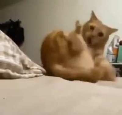 Pure grace