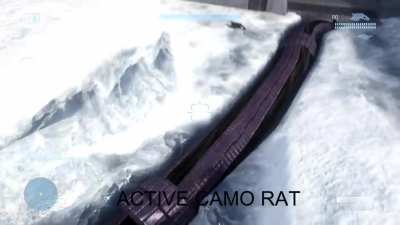 Rat Slayer has been released
