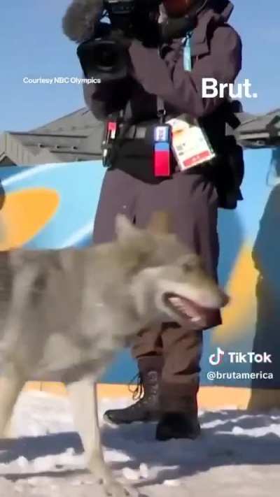 Olympics