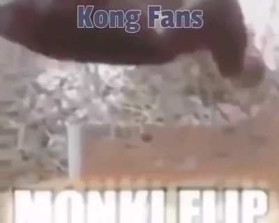 monki flip