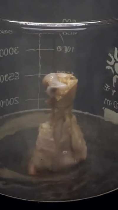 Vaporizing chicken in acid