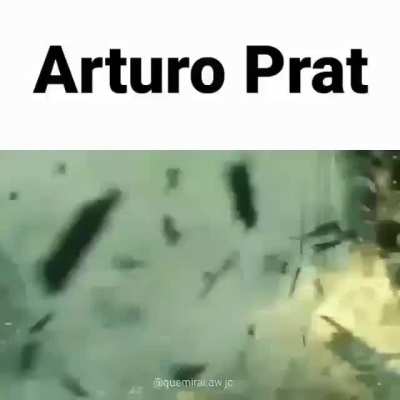 pucha pelaito