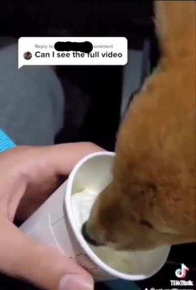 Instant regret...