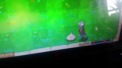 Me and my brother's pvz meme mod