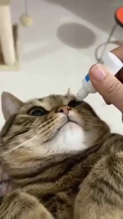 Eyedrop 💧