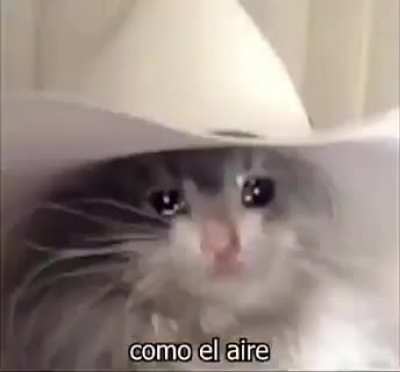The man with the sad eyes
