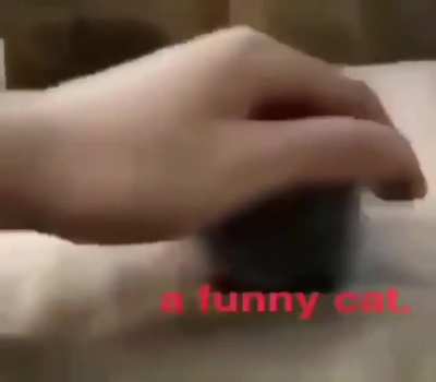 ?