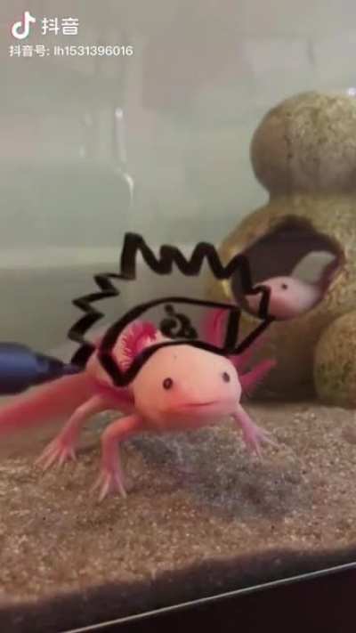 axolotl doodle