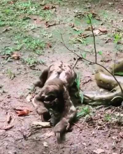 Apenas passando