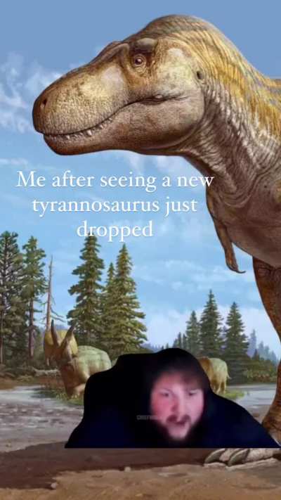 Pachycephalosaurus still Solo's easily.