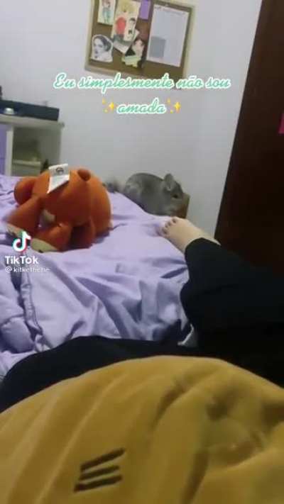 "how cute you are, bite my foot" 🥺
