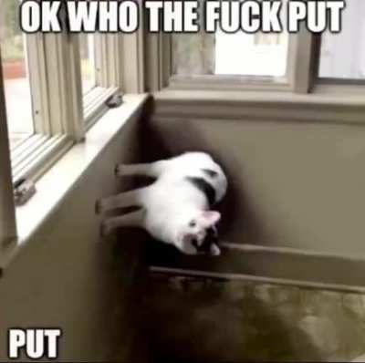 It wasn&rsquo;t me man