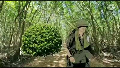 When Vietnam war