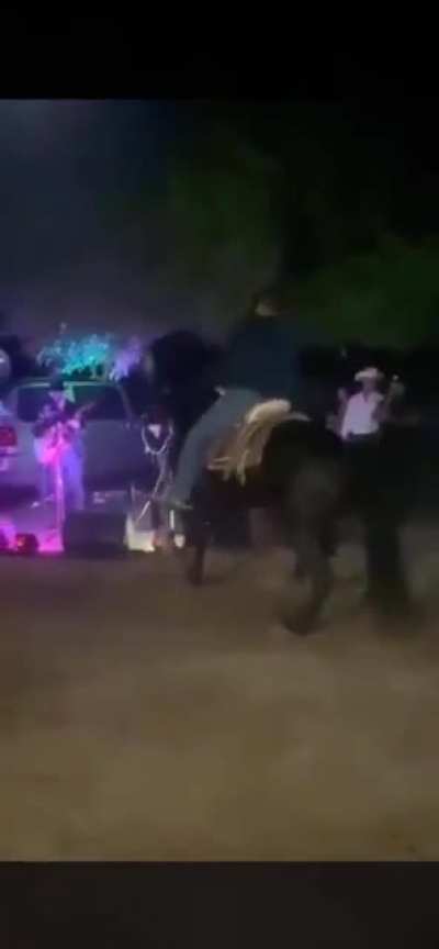 A horse with some fancy moves