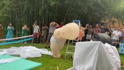 Best gender reveal ever?