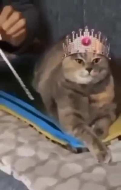 her majesty