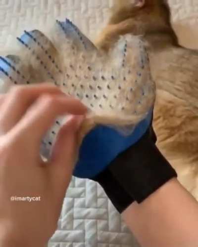 Petting Gloves