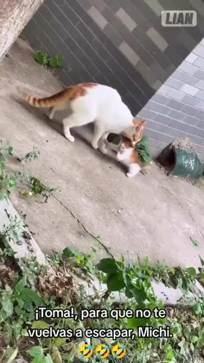 El castigo al Michi... 