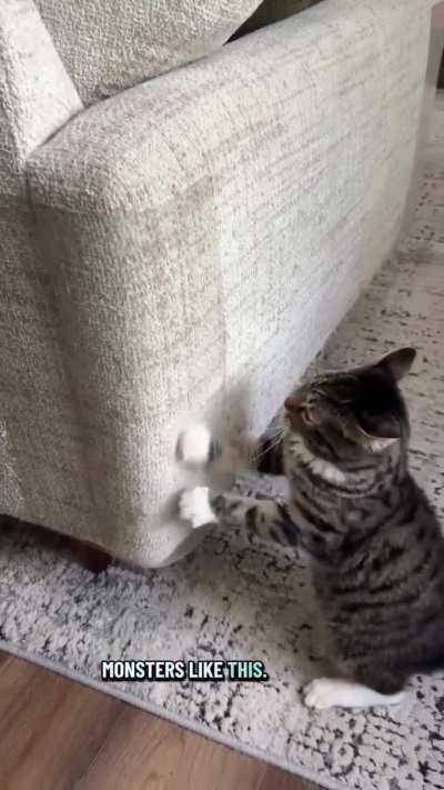 Little fella is on a mission