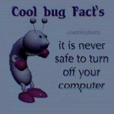 Cool&rsquo;s Bug Fact