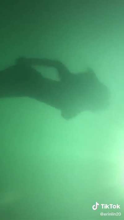 Diving