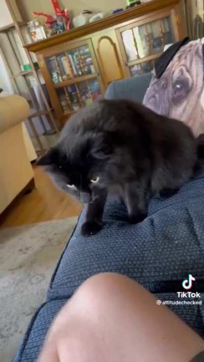 Tap tap to startle!