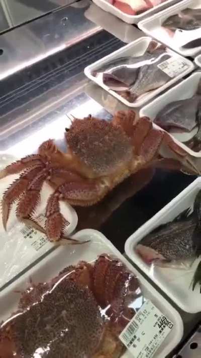 Defrosted Nightmare: the unkillable crab 