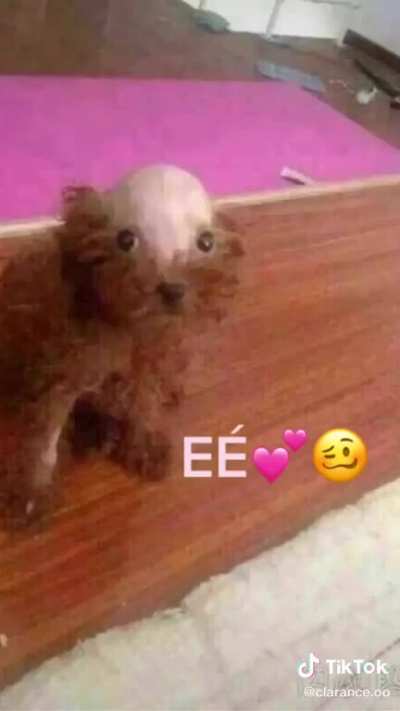 E&Eacute;