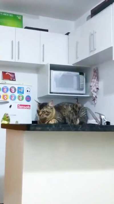 "Are you hungry?"
