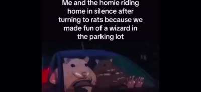 Who Wants To Make Fun of A Wizard With Me? 👉👈