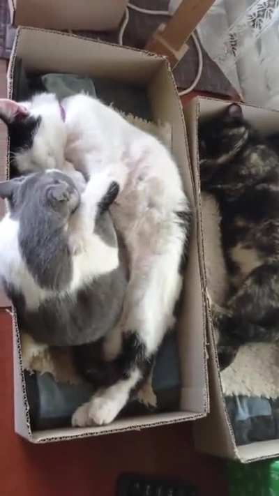 all in boxes :) ....siesta