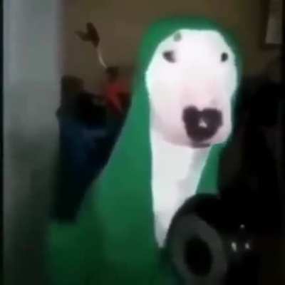 Bonmk